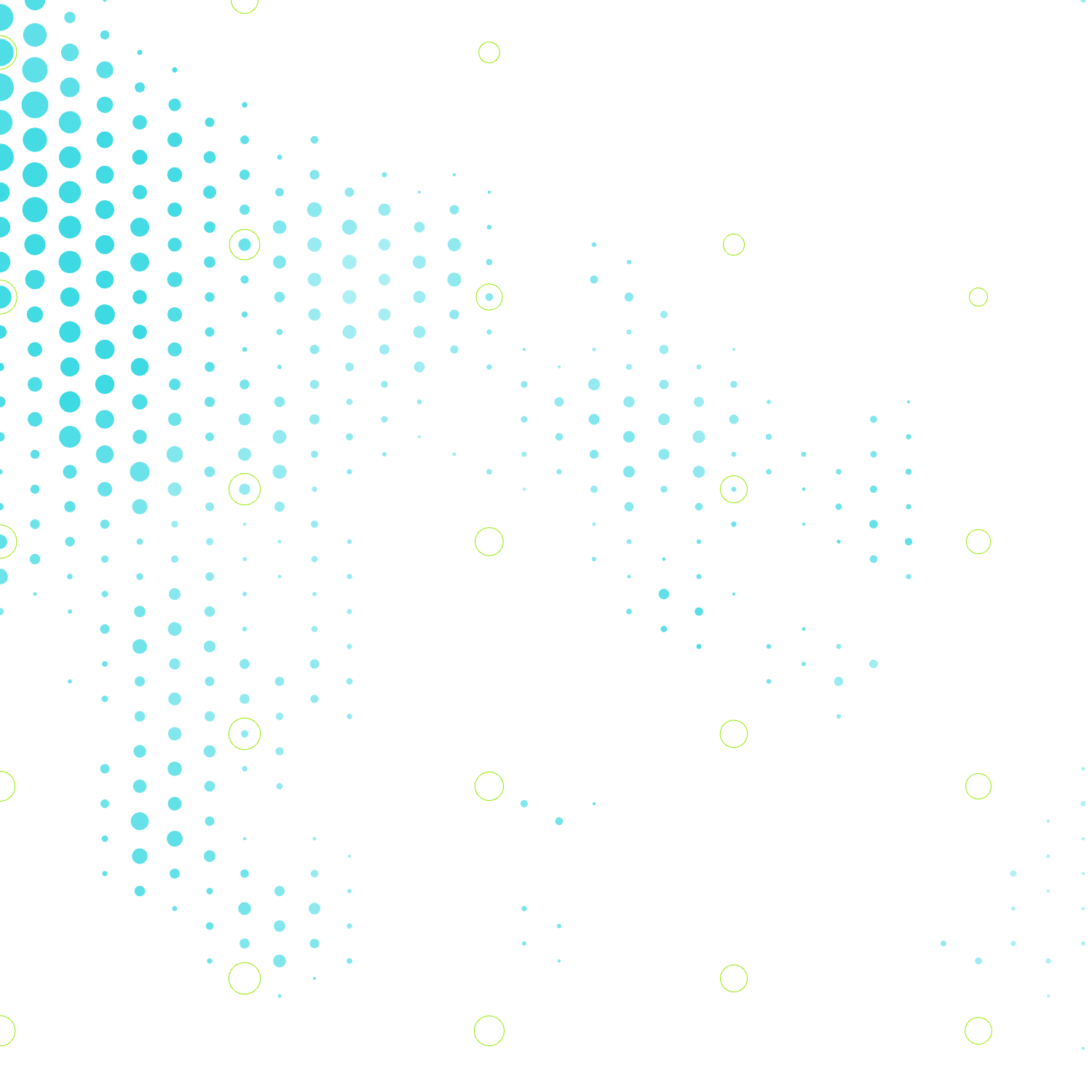 A Portrait of American Identity