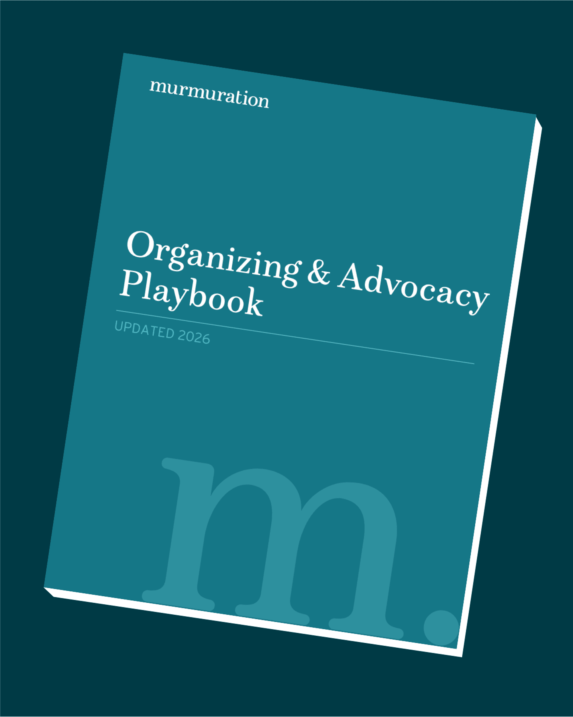 Introducing the 2026 Organizing & Advocacy Playbook